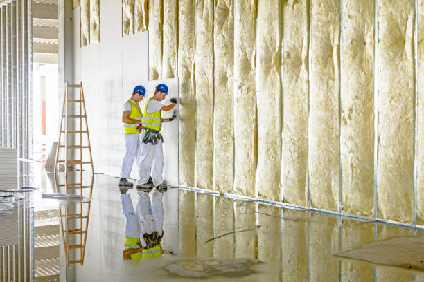 Best Insulation Maintenance and Repair in USA